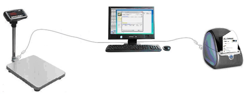 Collegamento Bilancia Elettronica